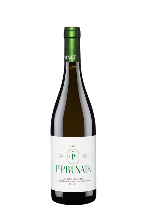 Bianco IGT Colline Pescaresi 2023