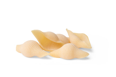 Conchiglioni